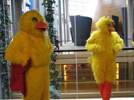 UKIP CHICKEN PROTEST 01