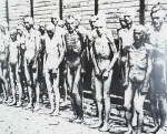 Auschwitz Prisoners