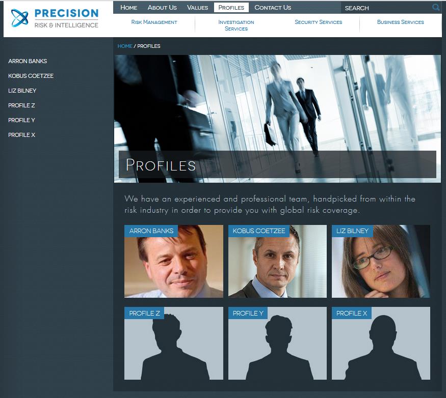 PRECISION Risk &amp; Intelligence 03